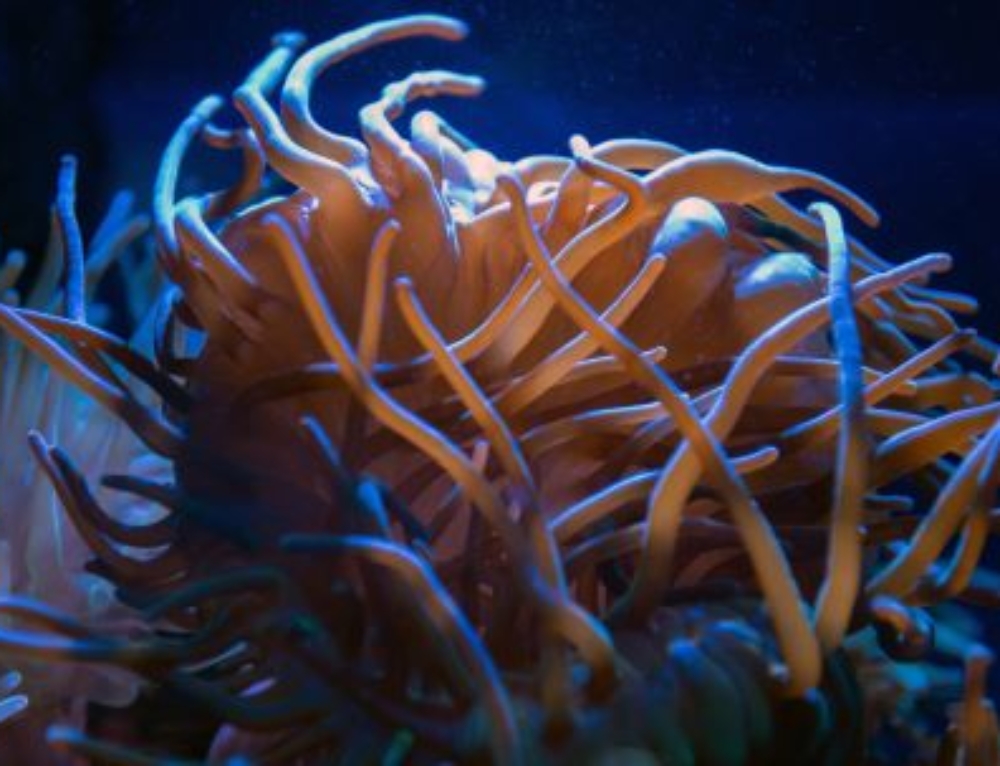 Metallurgical Materials Engineering Ece Journals